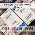 Kamagra Oral Jelly 100Mg Use kamagra1